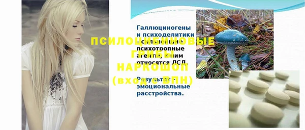 СК Михайловск