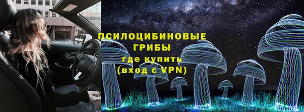 СК Михайловск