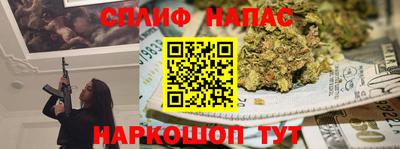 Альфа ПВП Дубна