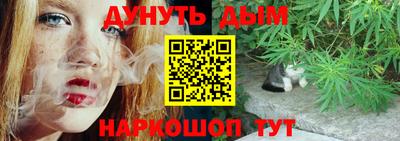 Альфа ПВП Дубна