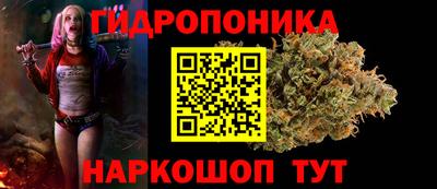 шишки Донецк