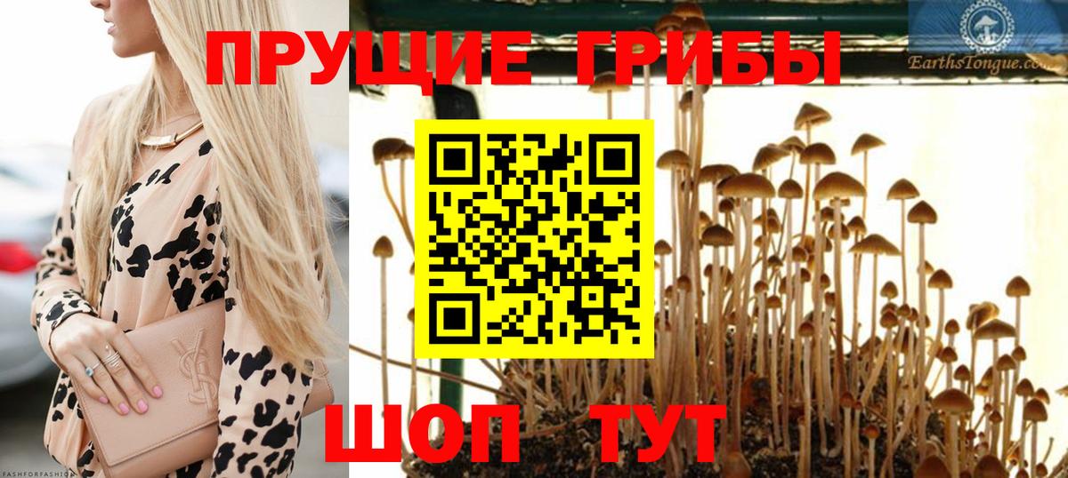 Галлюциногенные грибы ЛСД Черногорск
