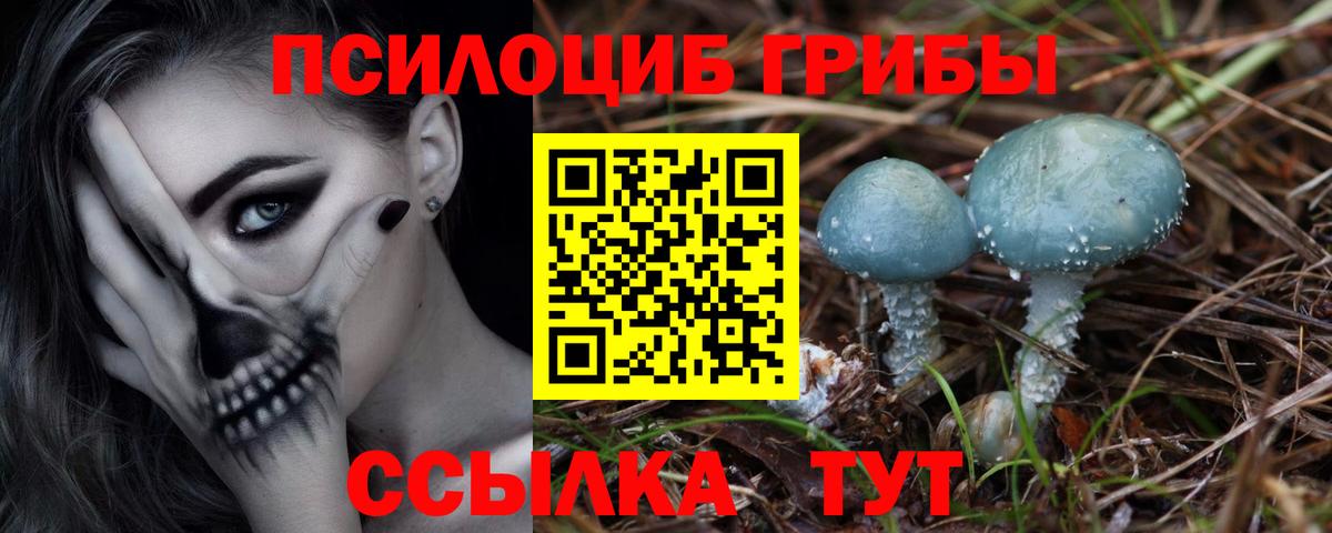 Галлюциногенные грибы Psilocybe  Вход с VPN  Черногорск  Псилоцибиновые грибы ЛСД 